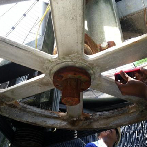Services