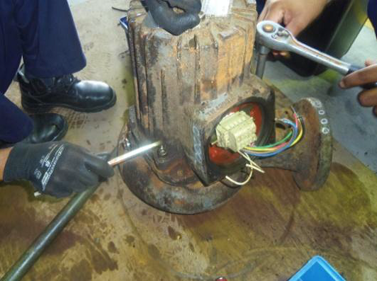 Mechanical Works Pump Servicing 2